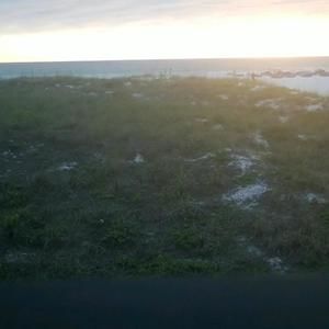 Meet your Posher, Ron